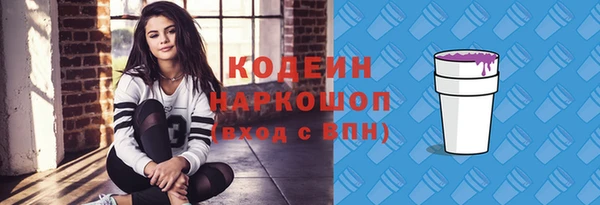 индика Абаза