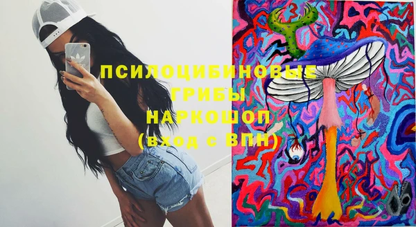 индика Абаза
