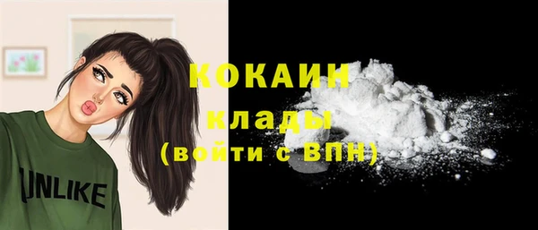 индика Абаза