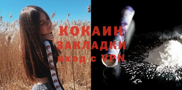 индика Абаза