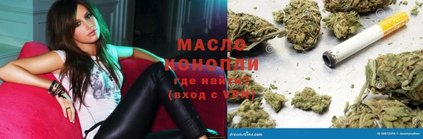 индика Абаза